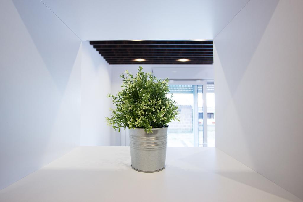 The Boutique Apartment Beograd Værelse billede